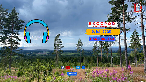 Skogpod 9. juli 2025