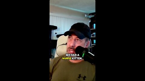 Heart-Stopping Roadside Kitten Rescue