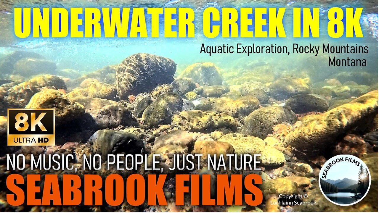 Underwater Creek in 8K