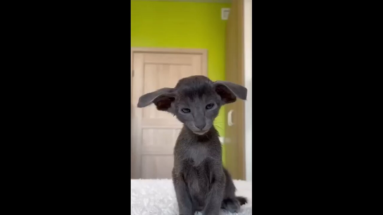 please like and support🥰