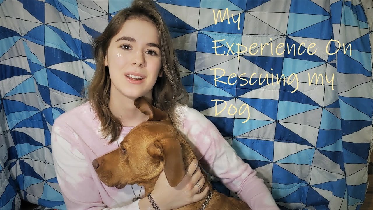 My Experience Of Rescuing My Dog STORYTIME