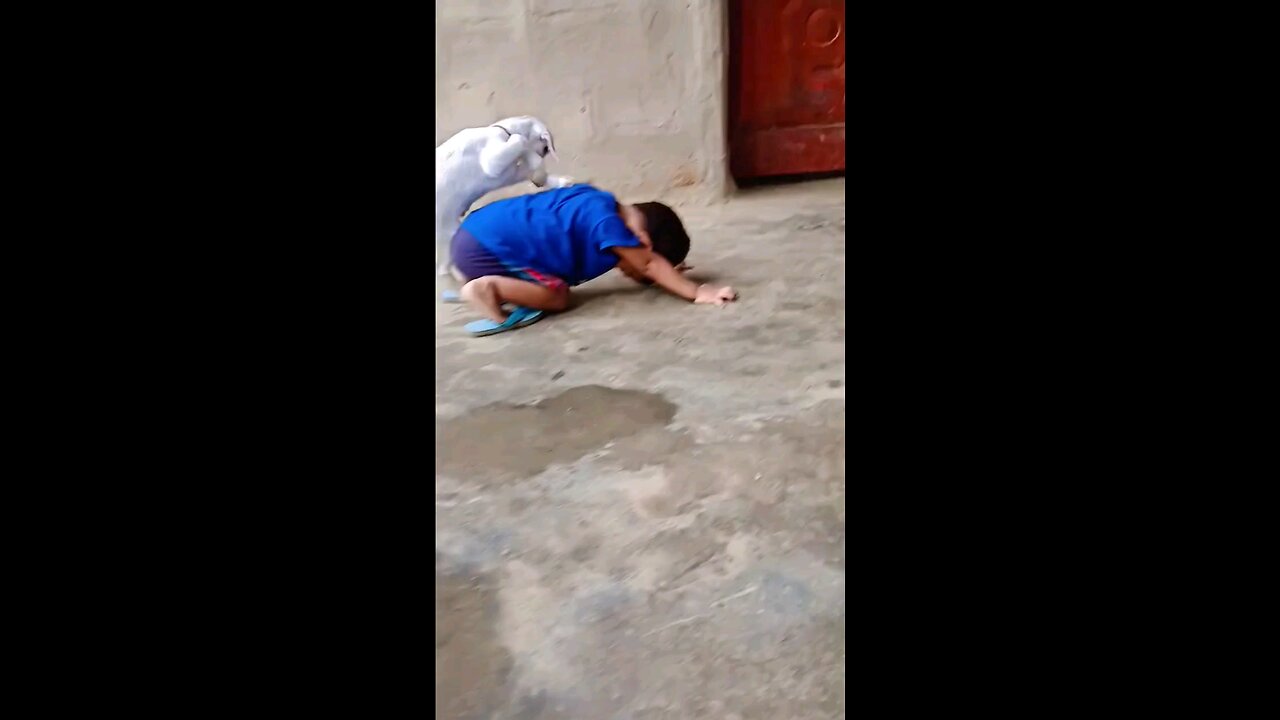 दो मासुम