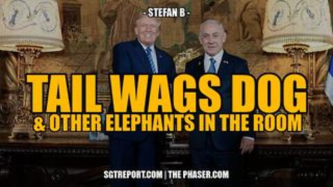 Tail Wags Dog & Other Elephants in the Room -- Stefan B