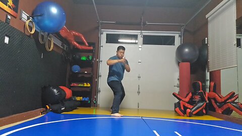 WTD 2 Step Kick Combination 178