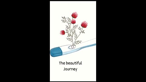 Pregnancy journey