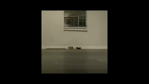 try not to LAUGH unusual meme compilation