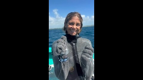 Saviour of Shark