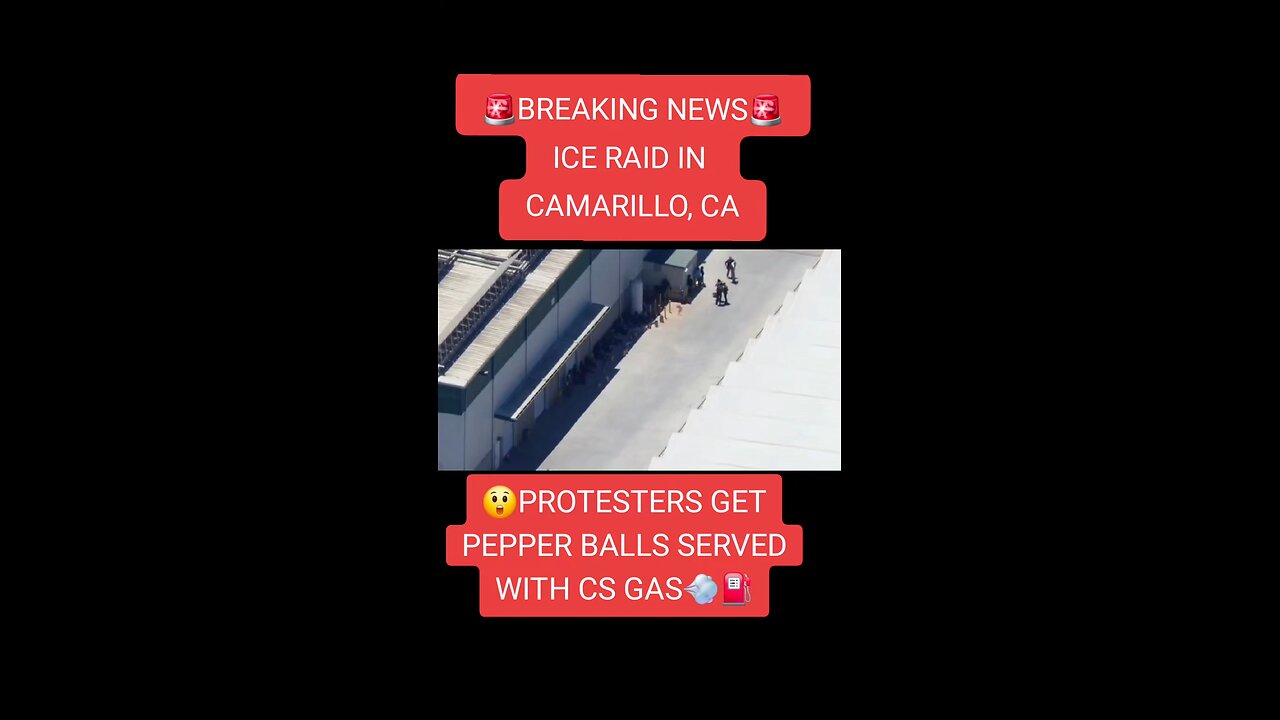 Camarillo ice raid protesters get pepper balls served with C's gas