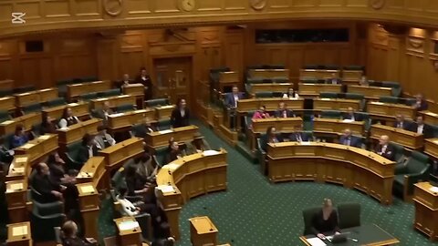 Disorder in American parliaments