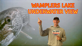 Wamplers Lake Underwater View