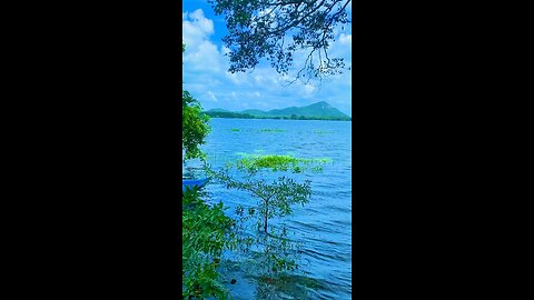 Sri lanka Nachchakulam Lake in Anuradhapura