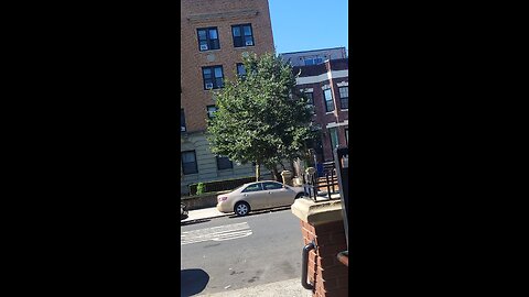 See the racist Caucasian female used in the illegal stalking, coercive persuasion program.