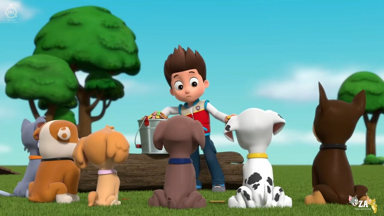 PAW Patrol Cartoons