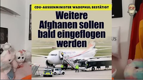EXPERTE entlarvt schockierende Politiker-VERHARMLOSUNG! 💥⚡️ knallhartes Statement!