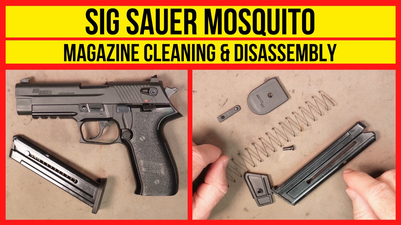 Sig Sauer Mosquito Magazine Disassembly & Cleaning