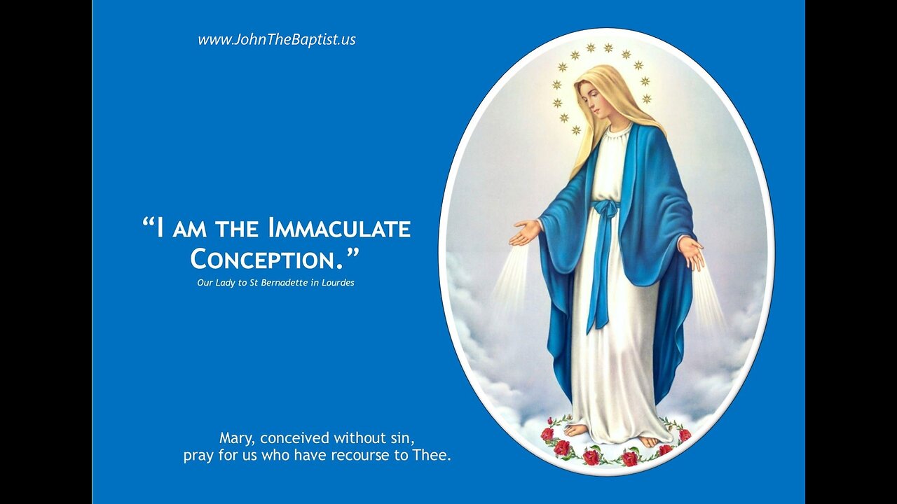 On the Immaculate Conception, Papal Infallibility, and Operation-of-Error Curse ~ Catholic Lecture.