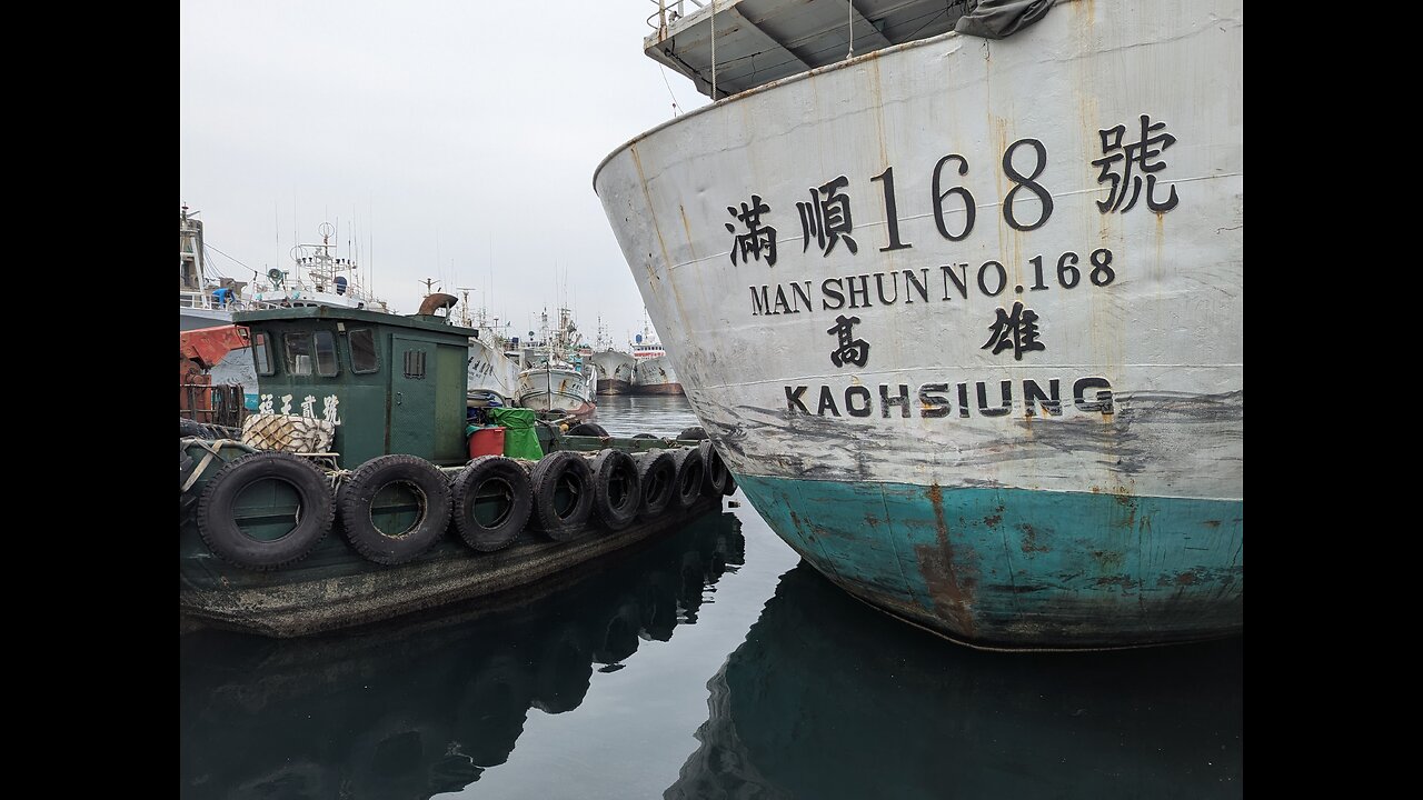 Kaohsiung Ch'ien-Chen Fishing Harbor 🇹🇼 (2025-04)