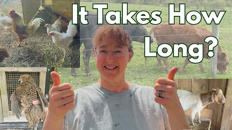 Homegrown Meat: The Benefits of Raising Your Own Livestock