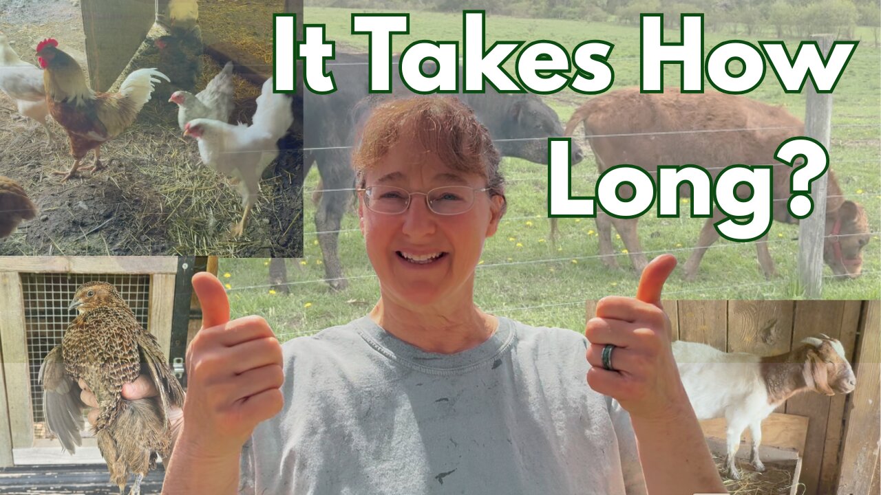 Recession Proof Your Freezer: Grow Meat