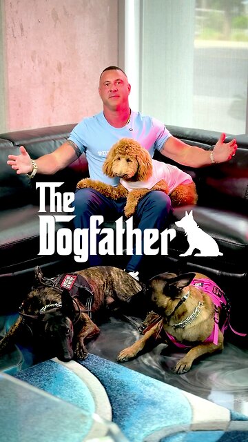 John Tsikouris: The Dogfather!