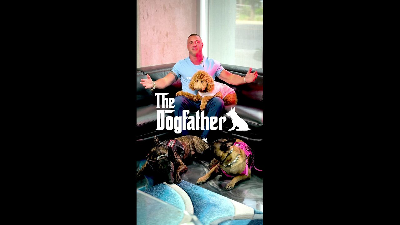 John Tsikouris: The Dogfather!