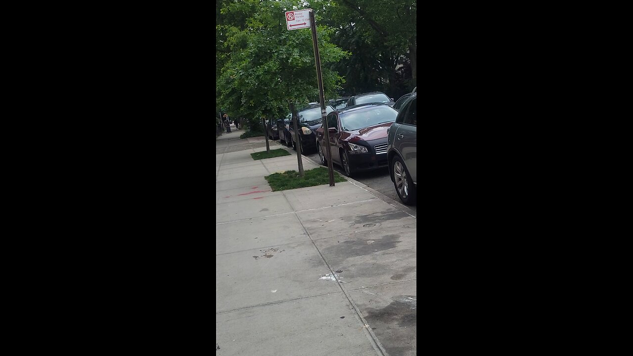 See the NY Predators Dept officers engaging in stalking and psychological harassment.