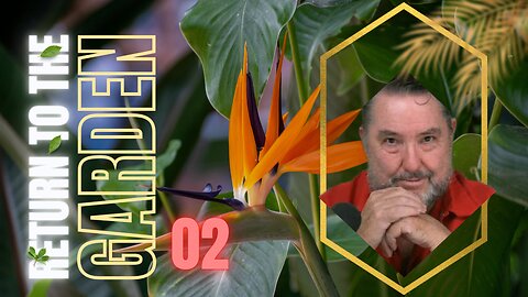 The Two Trees Revealed ~ Dowd, Knowledge & Life ~ Returning to the Garden Episode Two