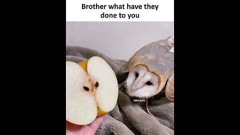 Swimming lucky took shorts