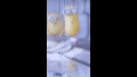 Reality Ya Illusion? Biggest Theories Explained