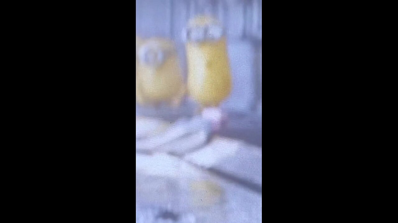 Reality Ya Illusion? Biggest Theories Explained