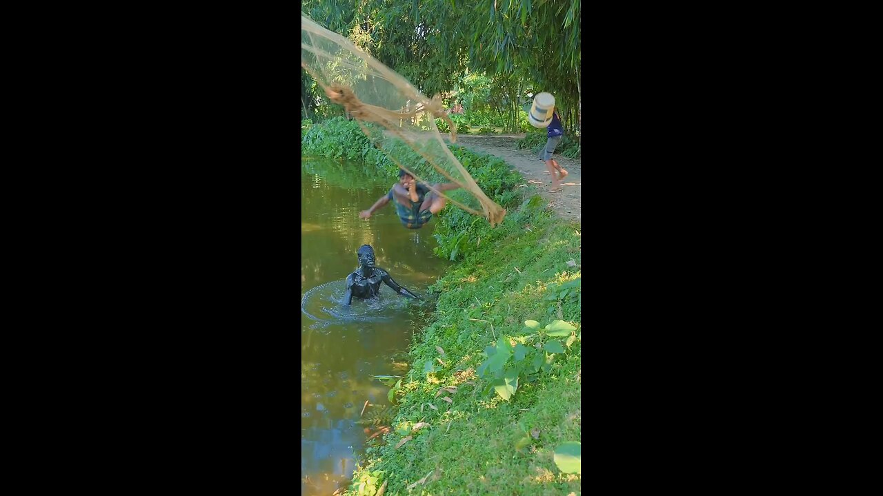funny Video