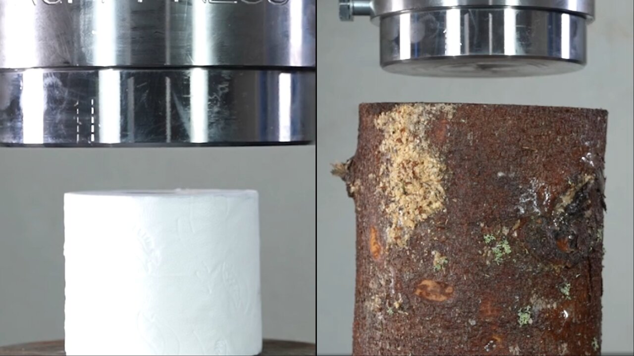 #Hydraulic_Piston_for_Wood_and_Tissues_ASMR😍