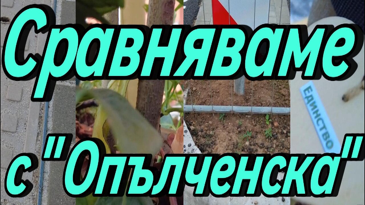 Проверяваме как е направена ул. "Опълченска" и сравняваме с работата в район "Красна поляна"...