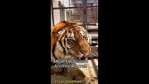 ferocious