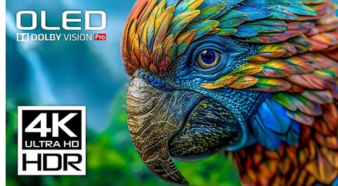 4K HDR 60FPS - BEST OF OLED Dolby Vision Demo (8K / 4K Video)