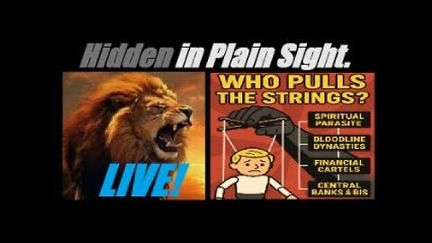 WHO PULLS THE STRINGS (A FULL BREAKDOWN OF THE GLOBAL CONTROL SYSTEM). Mannarino