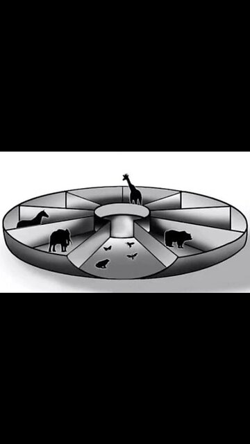 The Real Instructions Noah Was Given