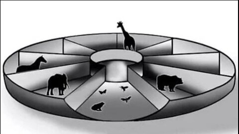 The Real Instructions Noah Was Given