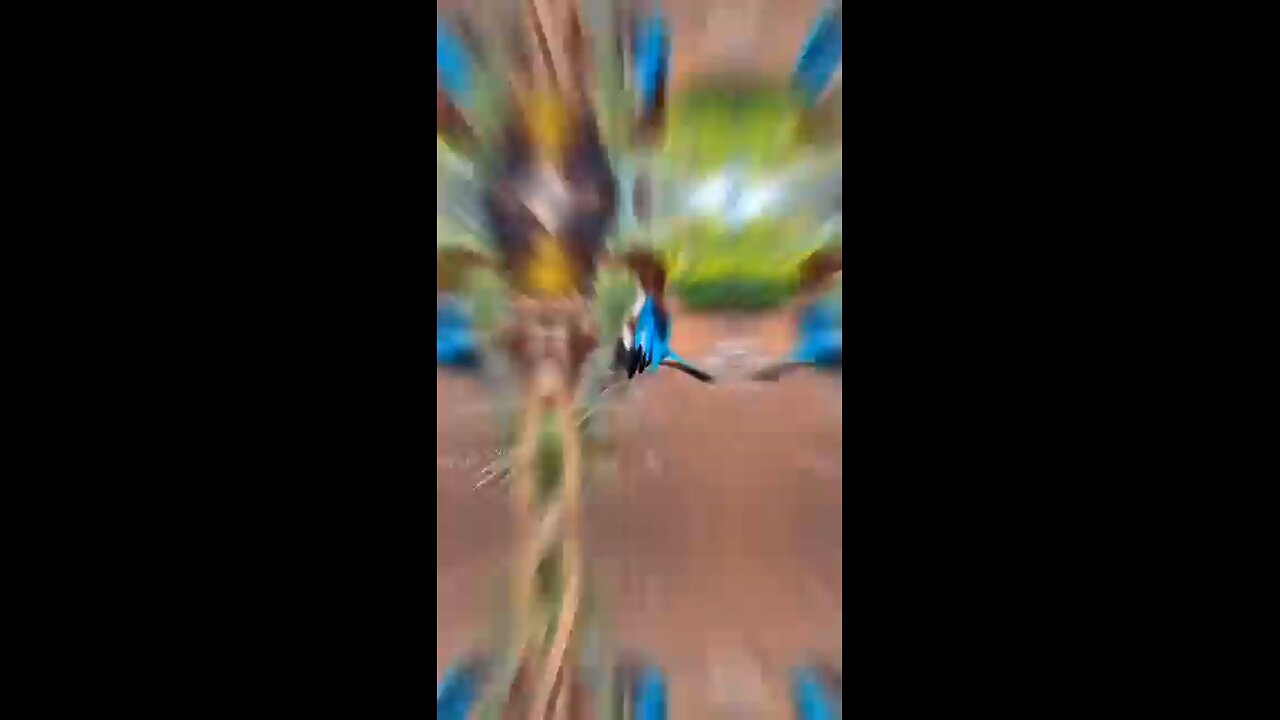 please like and support🥰