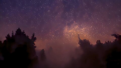 Stare into the night of beautiful stars