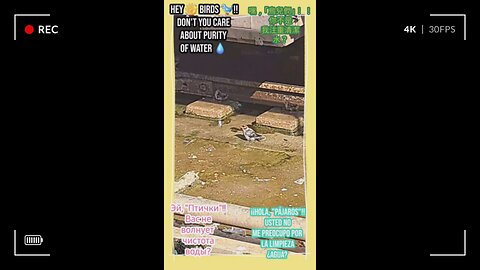 A mesmerizing blend of nature and urban adventure awaits! #Viral #Trend