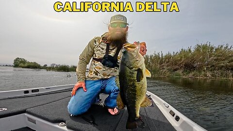 Big Girls up Shallow and First Frog Bite of the Year - California Delta