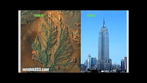 ALBERO SUPER MASSICCIO ANTICO?? - (Mirror)