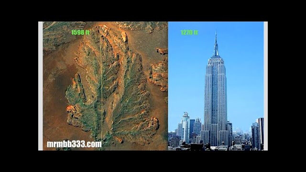 ALBERO SUPER MASSICCIO ANTICO?? - (Mirror)
