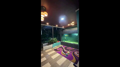 Every Side of This House Is a Fish Pond 😂🐠 | Front, Back, Inside & Even the Roof!