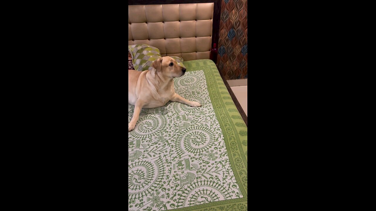 डॉक्टर निमी खाना नही खा रही है