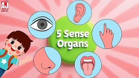 5 Sense Organs for Kids 👁👂 | Educational Cartoon Video 😊