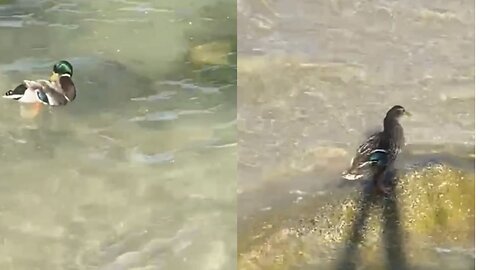 The most beautiful moments of interaction with nature