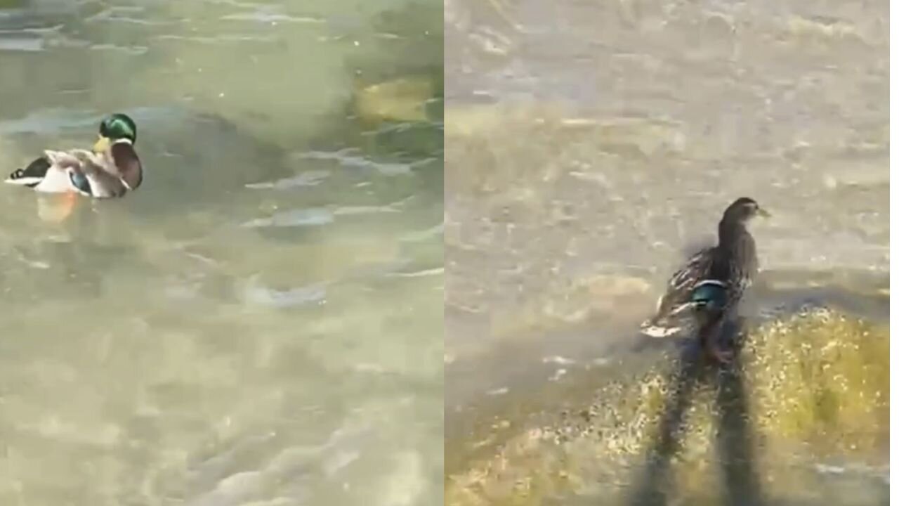 The most beautiful moments of interaction with nature