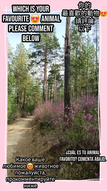 Discover their strength and grace up close. #FavoriteAnimal